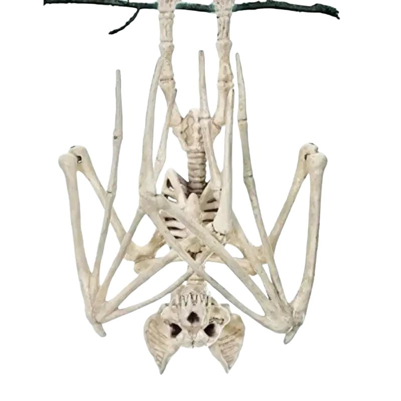 A beige plastic skeleton bat hanging upside down from a branch halloween decoration with bat skull design