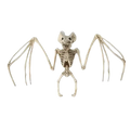Beige plastic bat skeleton halloween decoration with detailed bones spread wings featuring bat skull design