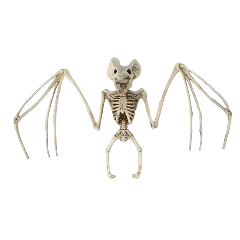 Beige plastic bat skeleton halloween decoration with detailed bones spread wings featuring bat skull design