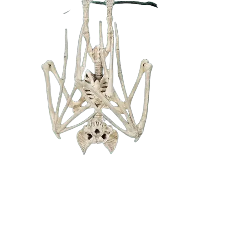 A white plastic skeleton hanging upside down with outstretched limbs and bat skull chains halloween decoration