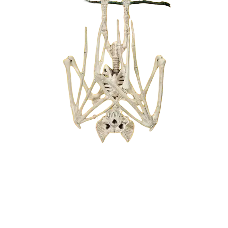 White skeletal spider halloween decoration hanging from branch featuring bat skull for halloween horror bats display