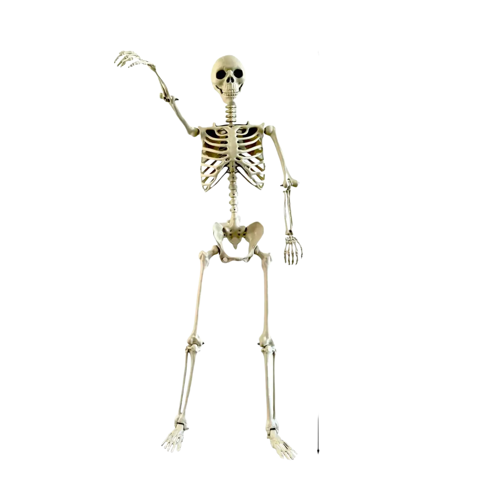 Articulated beige plastic halloween skeleton 90cm tall with detailed bones posable garden decor for haunted house