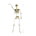 A 90cm beige plastic halloween skeleton with articulated joints and waving pose for garden decor and haunted house