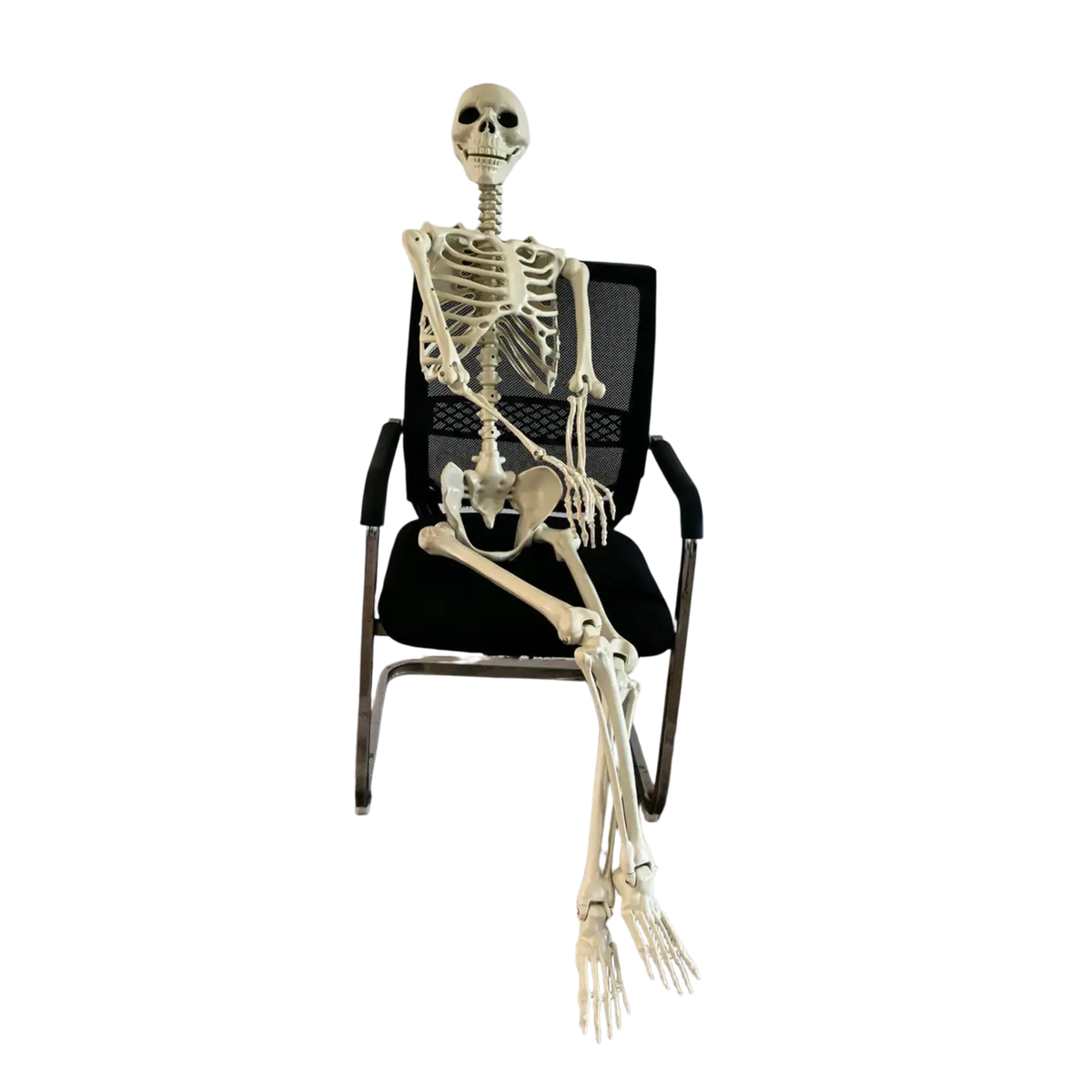 A beige plastic halloween skeleton posable garden decor seated in a black mesh office chair for haunted house use