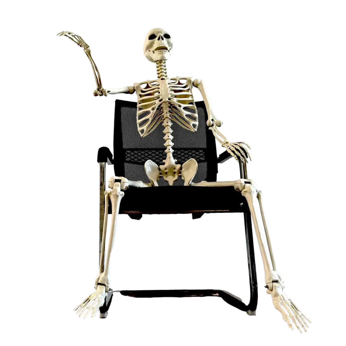Off-white plastic halloween skeleton posable garden decor seated in black mesh office chair for haunted house use