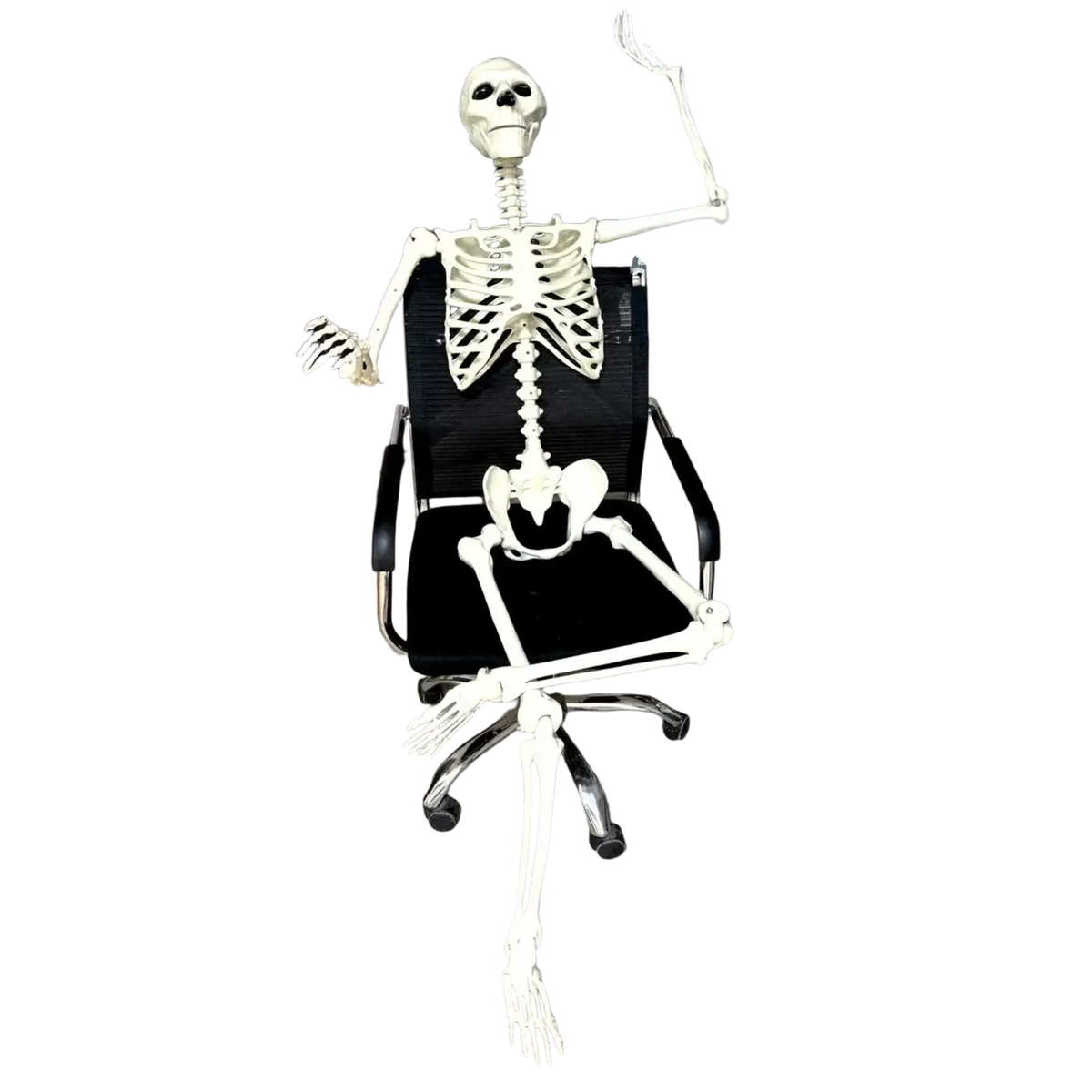 White plastic halloween skeleton posable garden decor seated in an office chair for haunted house display