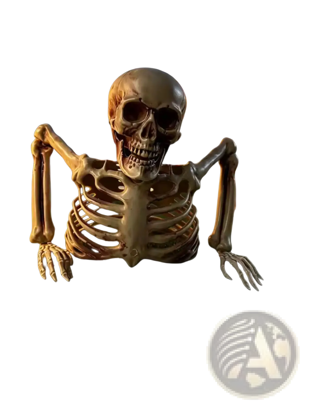 A beige plastic halloween skeleton prop with detailed bones and articulated limbs posed crawling for indoor outdoor decor