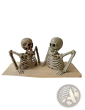 Two beige smooth material skeleton figurines seated on wood base halloween skeleton props indoor outdoor decor