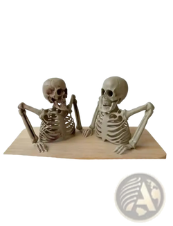 Two beige smooth material skeleton figurines seated on wood base halloween skeleton props indoor outdoor decor