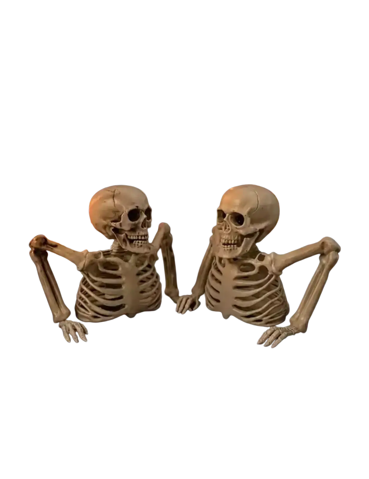 Two beige plastic skeleton props with detailed bones posed side by side for creepy indoor outdoor halloween decor