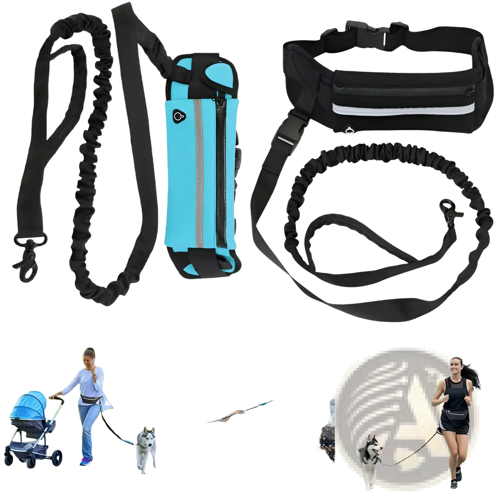 Black elastic hands-free dog walking leash with adjustable strap metal clasp paired with turquoise reflective pet carrier
