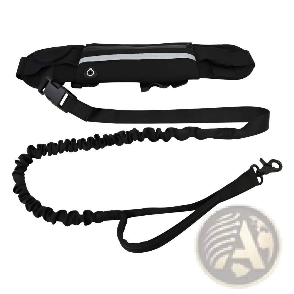 Black hands-free dog walking belt with reflective strip and adjustable strap paired with matching elastic leash