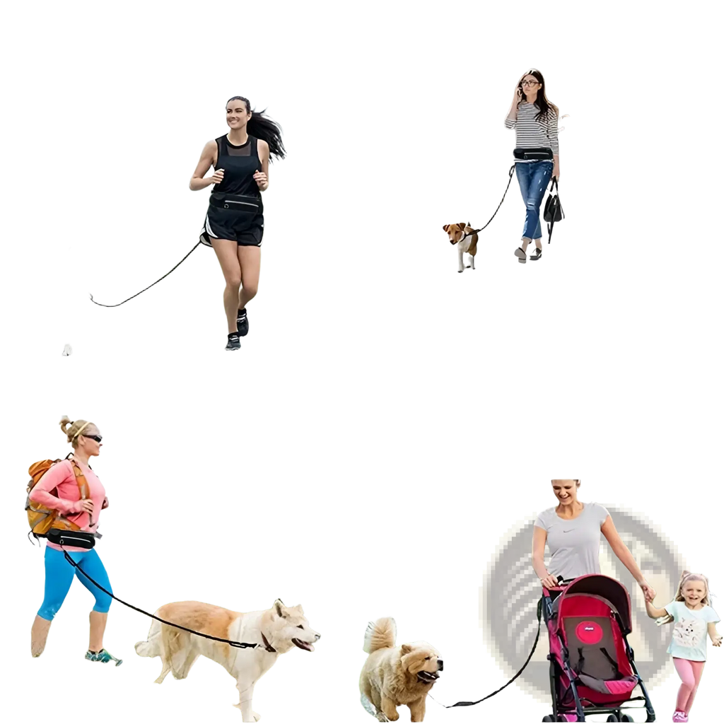 Black waist belt with adjustable strap and secure buckle for hands-free dog walking and leash attachment