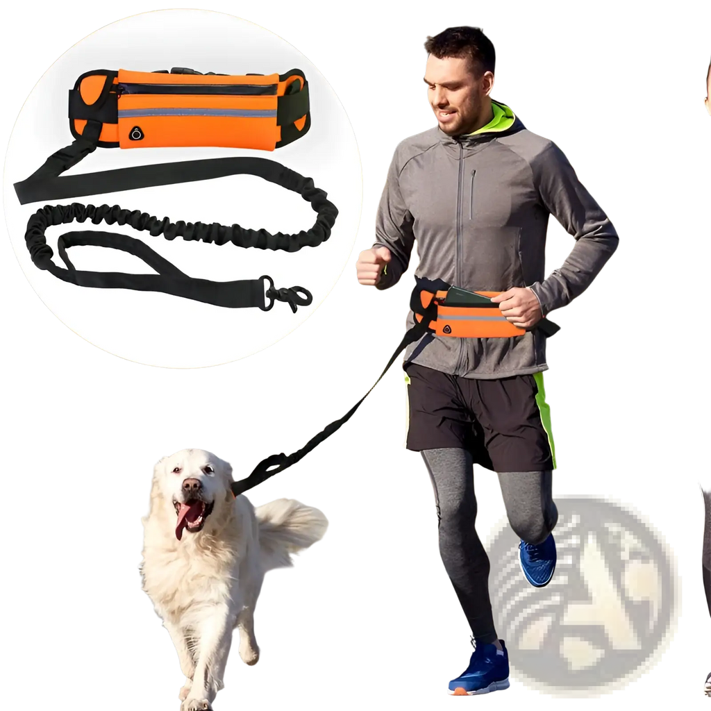 Orange hands-free dog walking belt with black straps and reflective strip designed for running or walking dogs