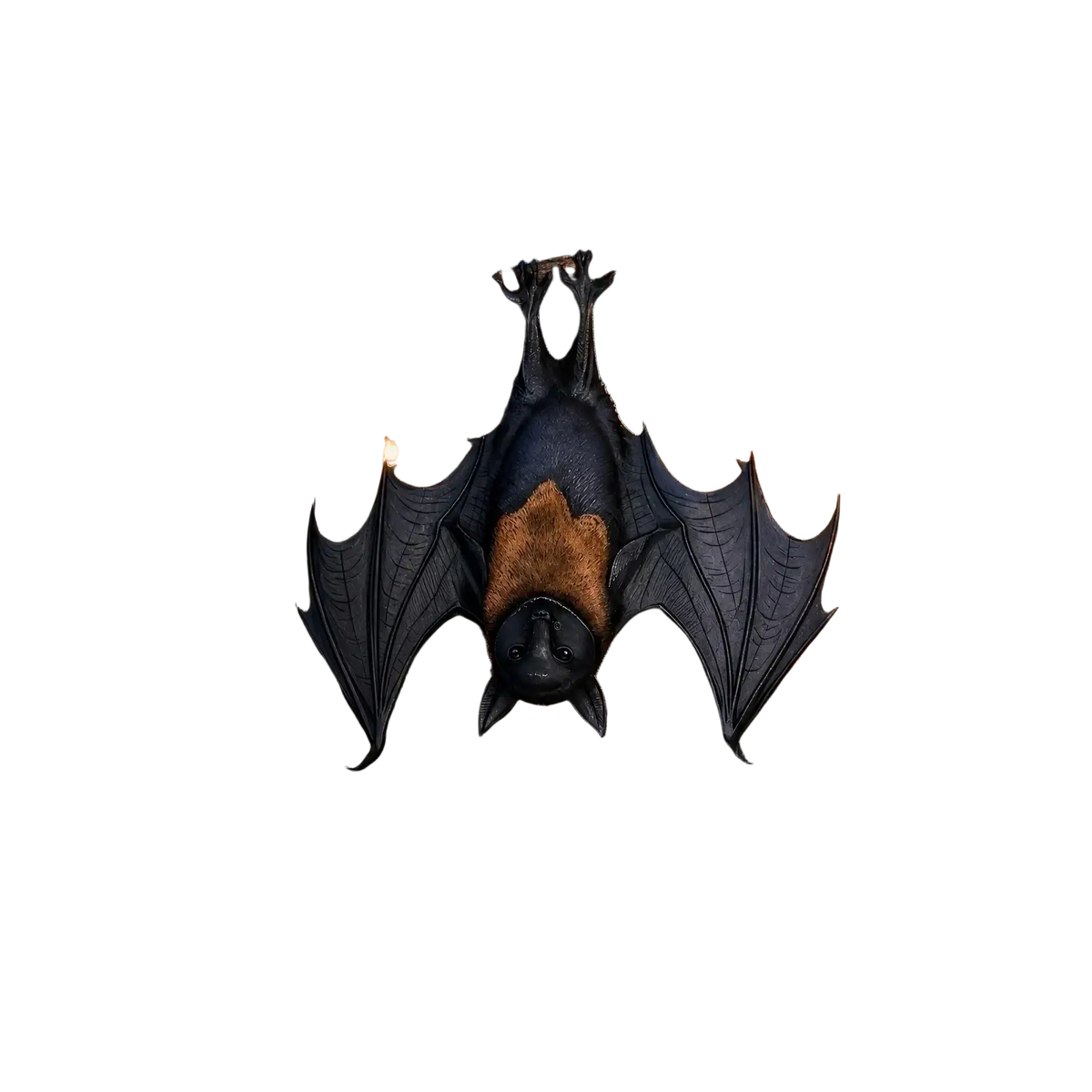 Black and brown hanging bat ornament made of fabric hanging from a tree branch for halloween decor