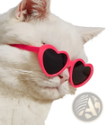 A white cat wearing bright pink heart shaped fashion sunglasses with black lenses for pets and dolls