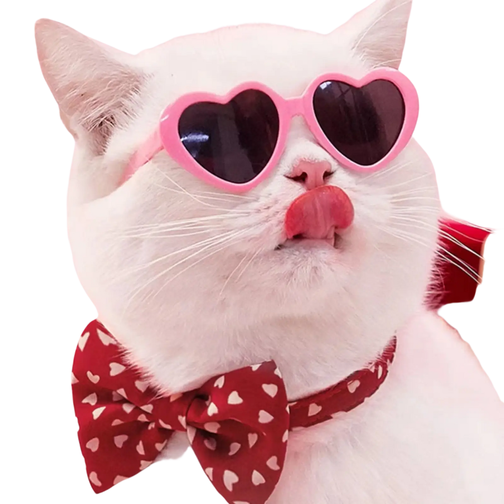 A white cat wearing pink heart shaped fashion sunglasses and a red bow tie with white hearts for pets and dolls