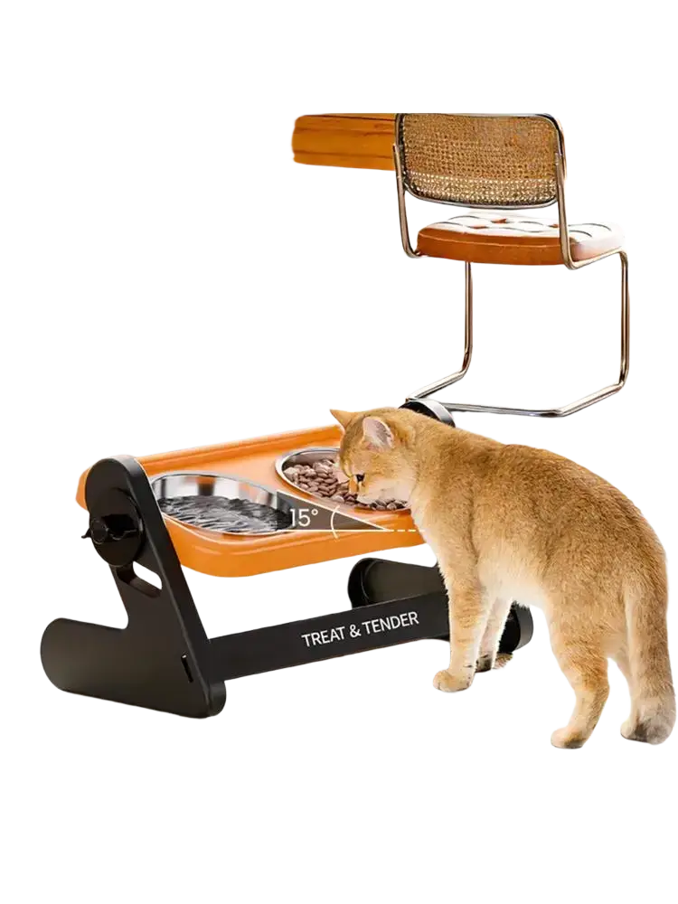 Orange and black height adjustable pet feeding station with two stainless steel bowls for cats