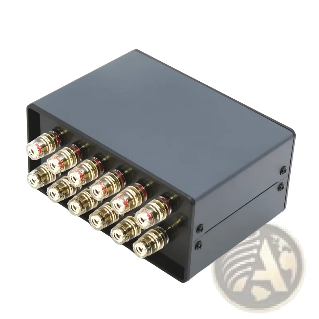 Black rectangular hifi audio switcher 2 way speaker selector box with eight gold-plated binding posts red and silver accents