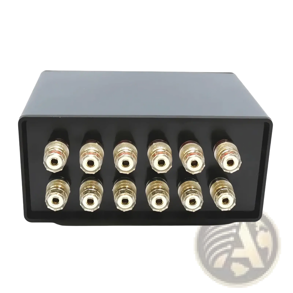 Black rectangular hifi audio switcher 2 way speaker selector box back with ten gold-plated binding posts in two rows