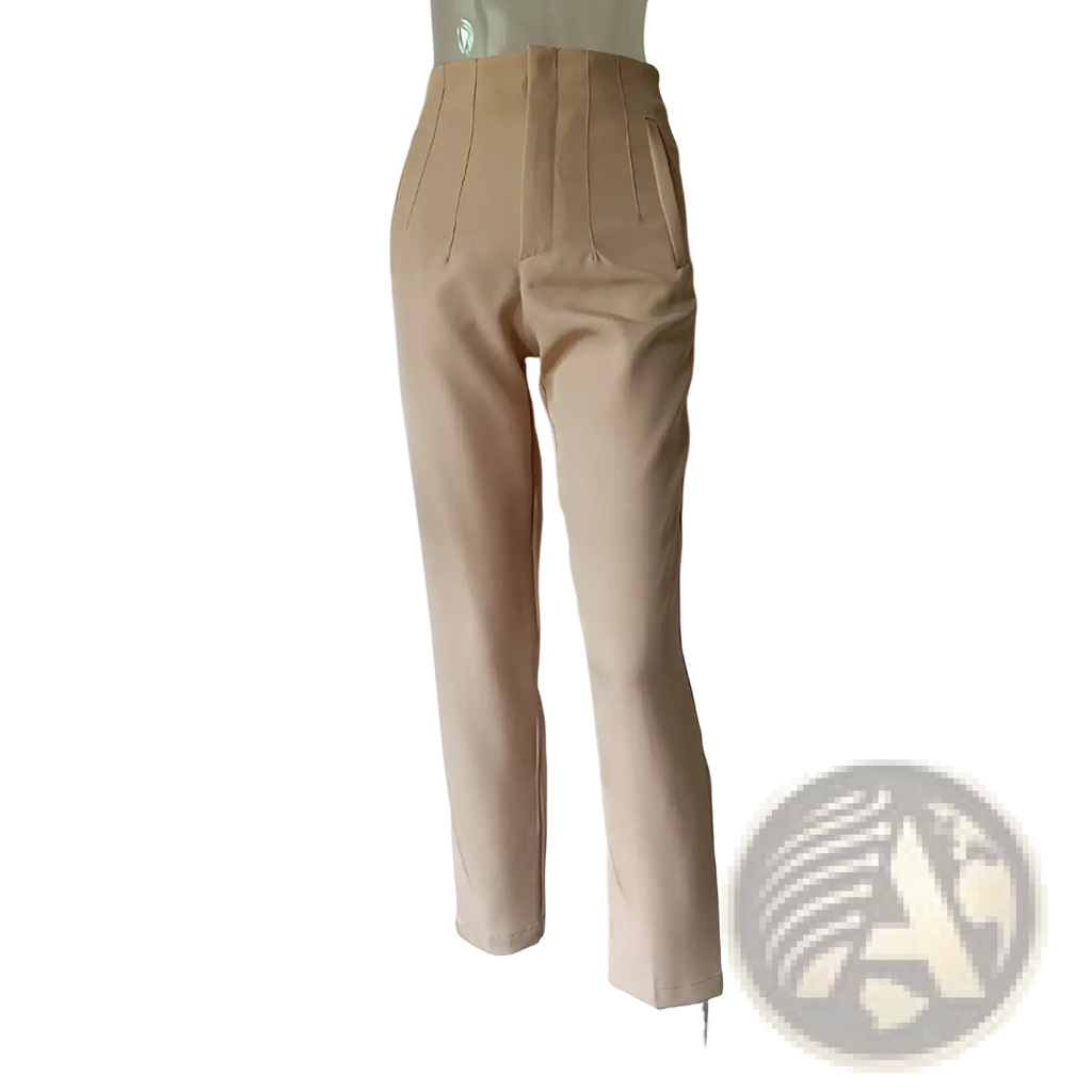 Beige high waist pleated straight leg trousers with tailored fit shown from the back view