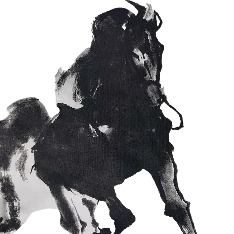 Black ink brushstroke painting of a dynamic horse on light fabric featured on hip hop horse print cotton pullover hoodie for men