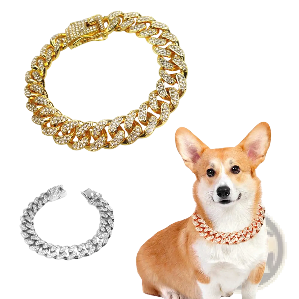 Gold-colored iced out Cuban link pet collar with heavy embellishments and sparkling rhinestones for dogs