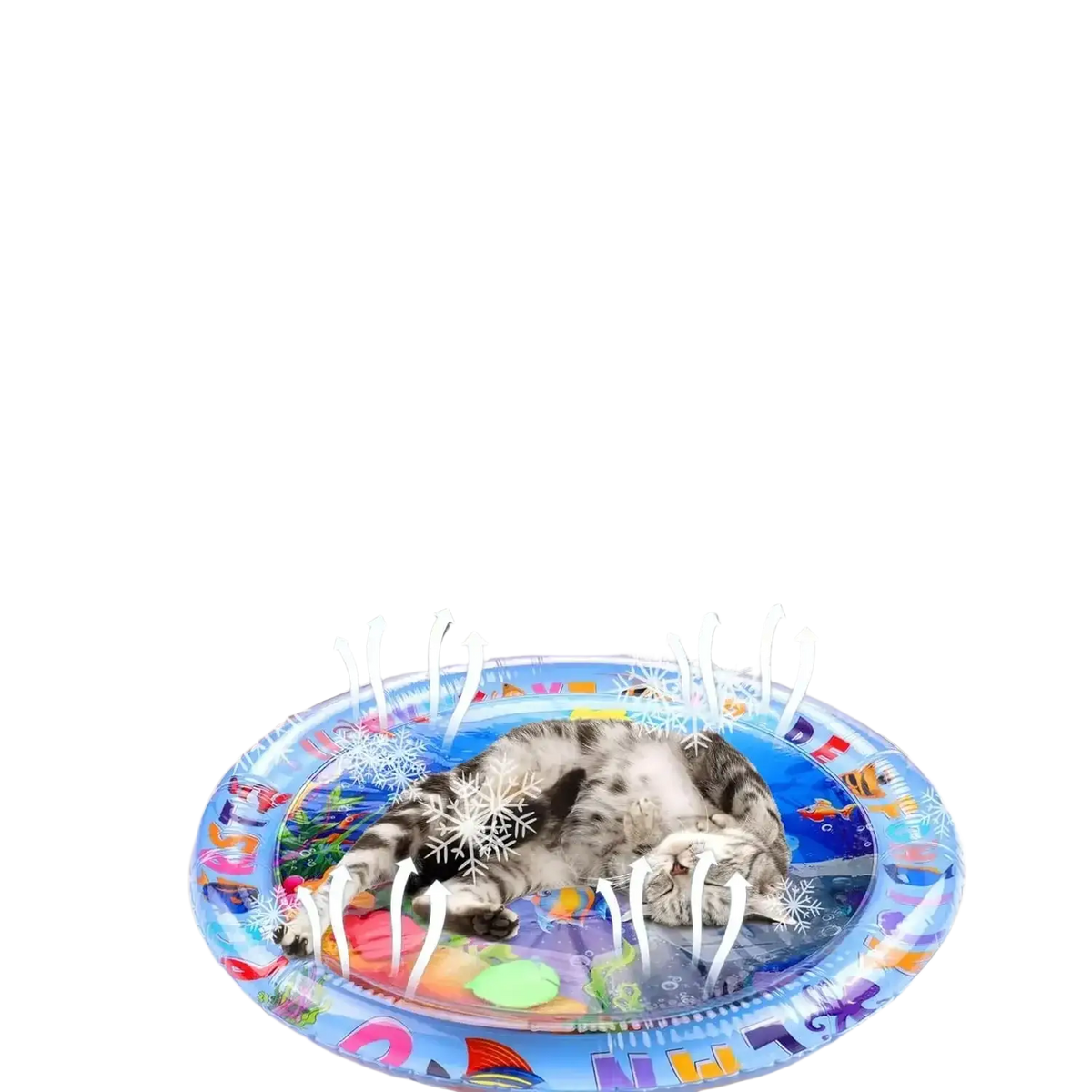 Blue inflatable water mat ocean theme with cartoon sea creatures featuring a sleeping cat inside for pet play
