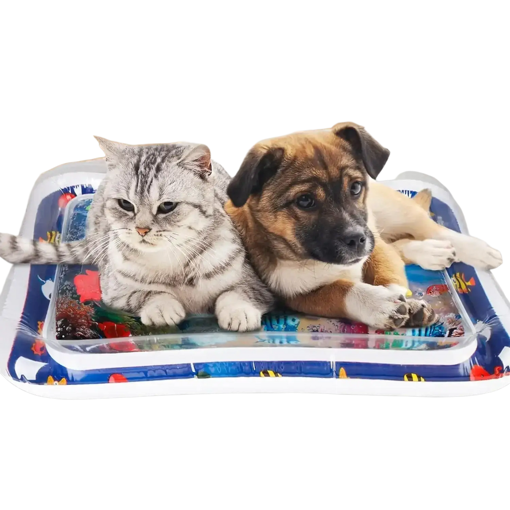 Blue and white inflatable water mat with ocean-themed fish starfish and octopus patterns for pet play