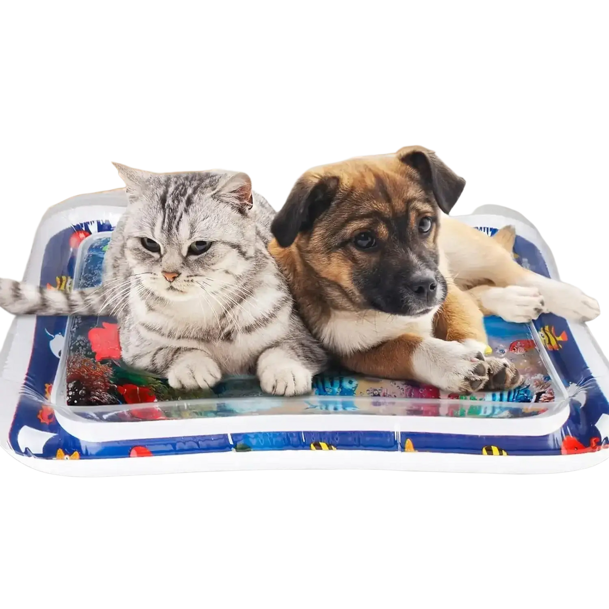 Blue and white inflatable water mat with ocean-themed fish starfish and octopus patterns for pet play