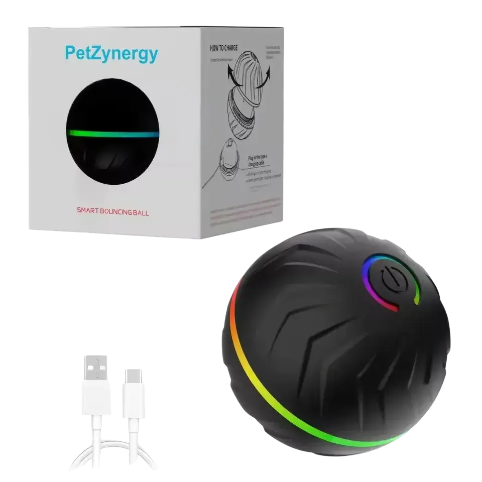 Black petzynergy smart interactive ball dog toy with textured surface and rainbow led lighting ring