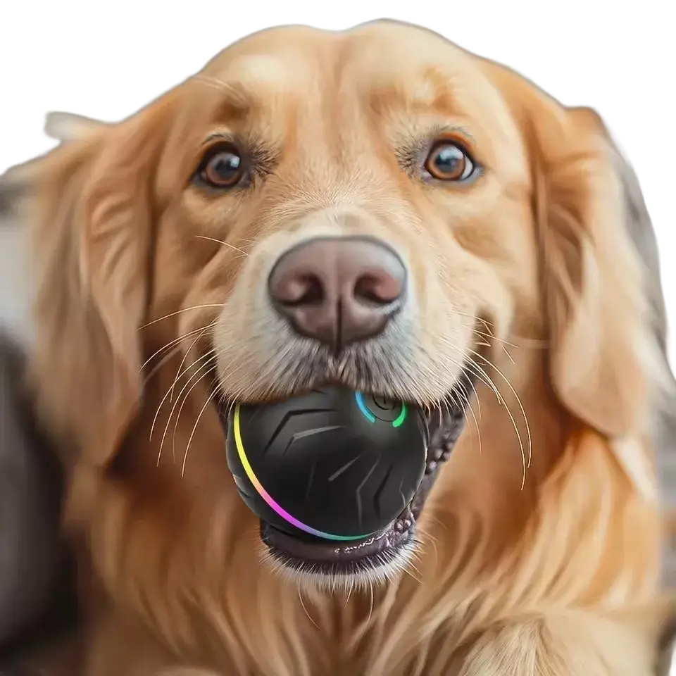 Black interactive ball dog toy with textured surface and rainbow led lighting for engaging play sessions