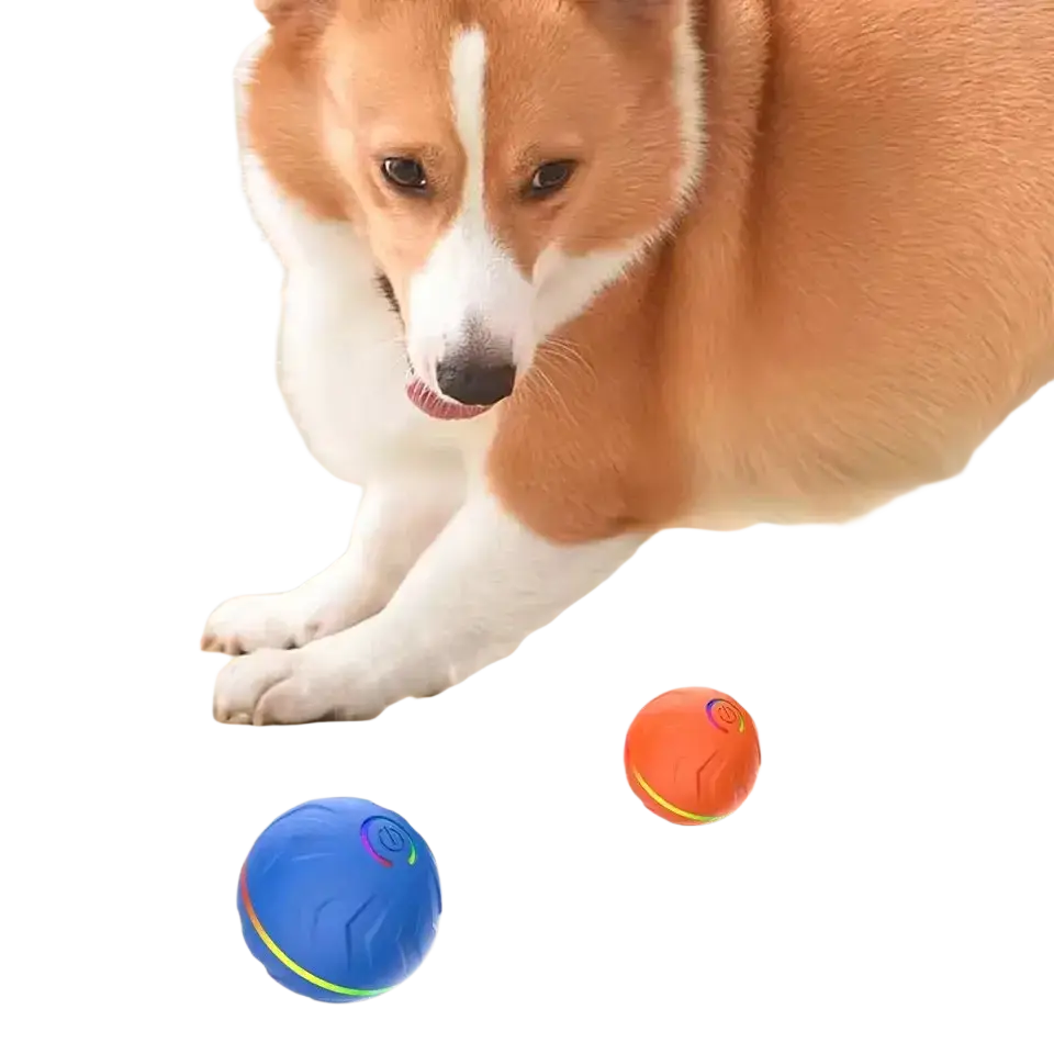Blue and orange interactive ball dog toys with led lights designed for engaging pet play and visibility in low light