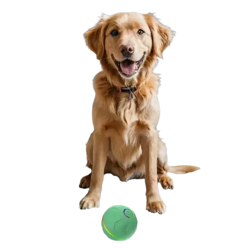 Interactive ball dog toy made of bright green translucent plastic with led lights and subtle blue swirl design