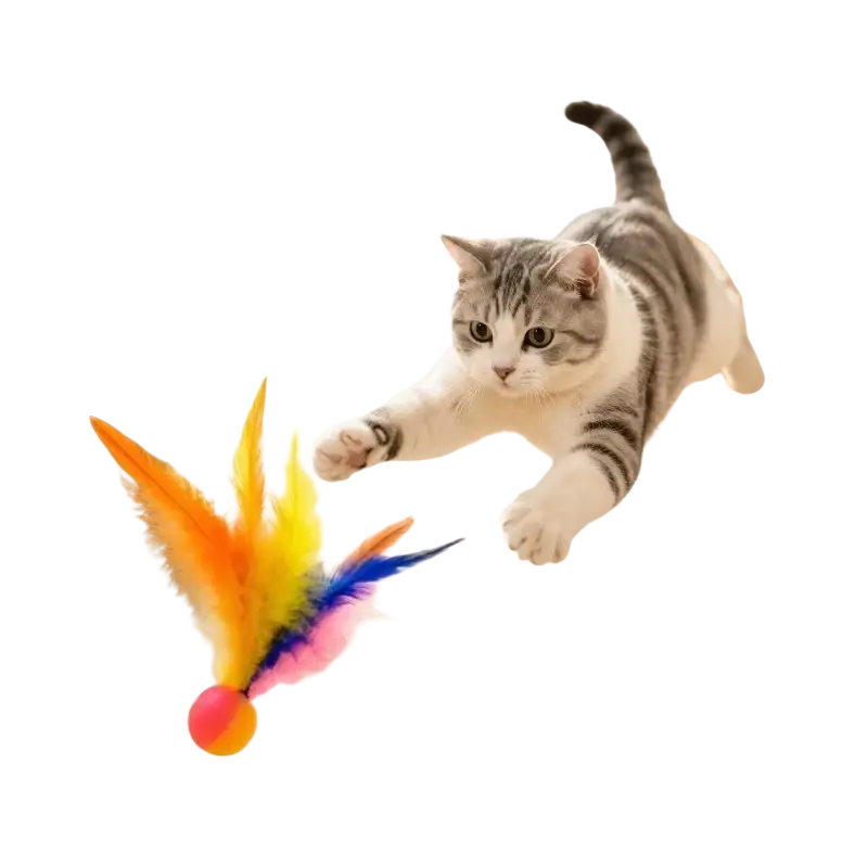 Interactive ball toy with colorful multicolored feathers and pink yellow ball base for engaging cat play ball toys
