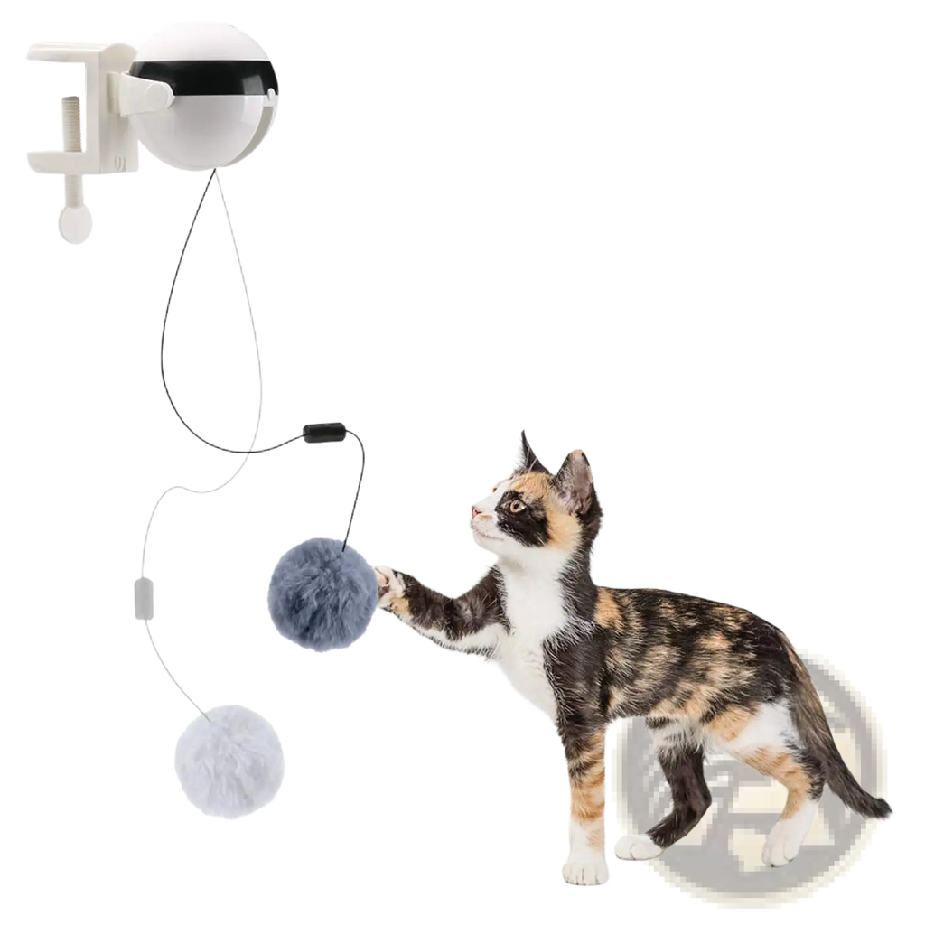 Interactive cat toy automatic lifting teaser ball white spherical with black visor and two fluffy pom-poms attached