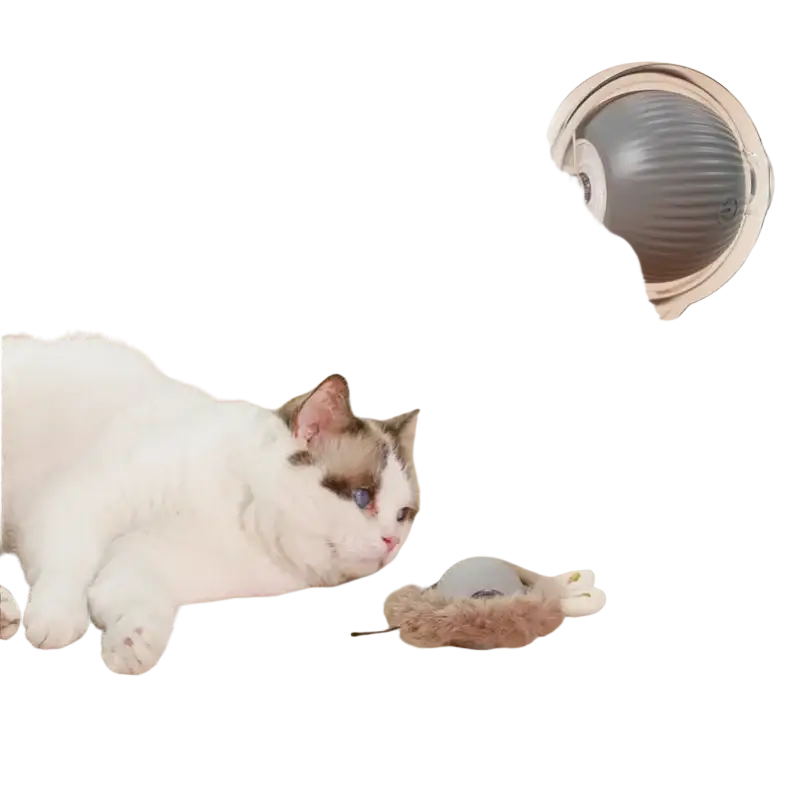Gray and white interactive cat toy with fuzzy paw attachment and yellow ball from interactive cat toys mainland china set