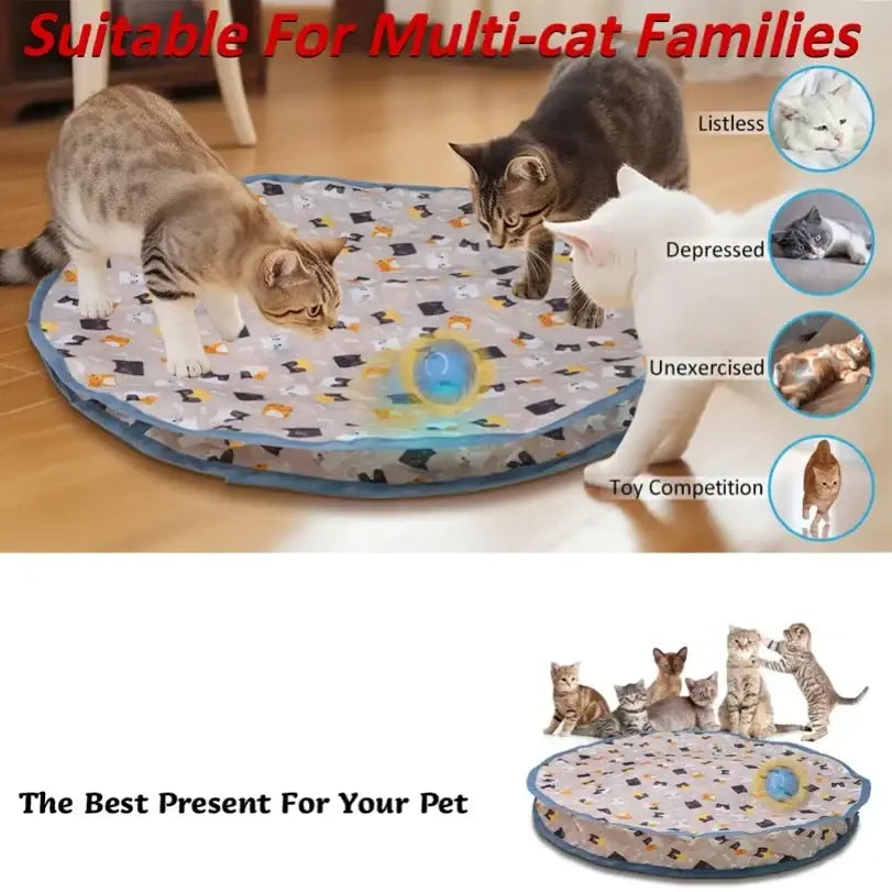 Round foldable interactive cat toy mat from mainland china with black and orange cats and a central blue rolling ball