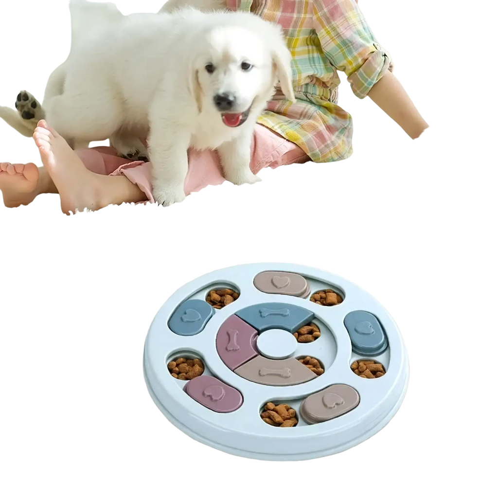 Interactive dog puzzle slow feeder toy made of light blue and mauve plastic with heart bone and paw print compartments