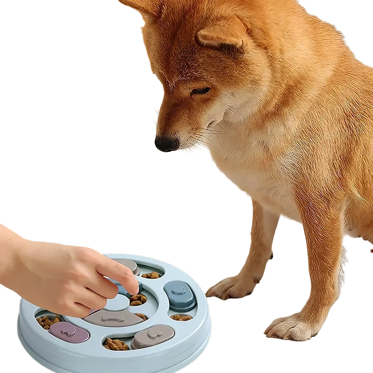 Light blue plastic interactive dog puzzle slow feeder toy with colorful smiling face-shaped compartments