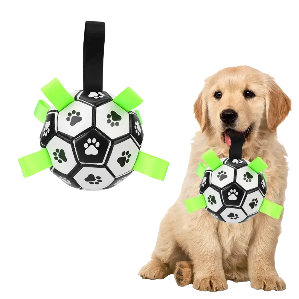Interactive dog soccer ball with grab tabs made of pu leather in black and white with green ribbons to enhance customer satisfaction