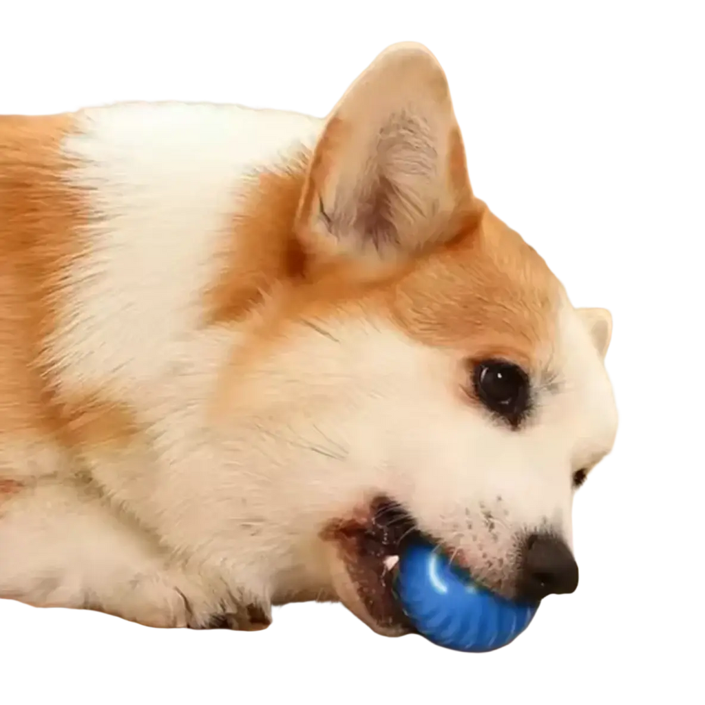 Blue textured rubber interactive dog toy featuring a rechargeable automatic rolling ball for engaging play sessions