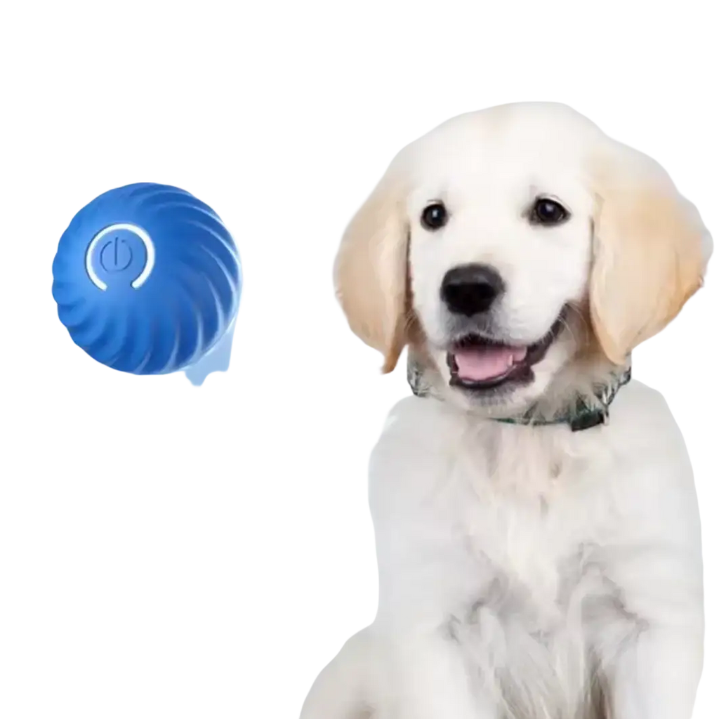 Blue textured interactive dog toy ball with power button design rechargeable automatic rolling interactive toy