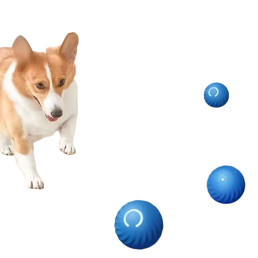 Blue textured rechargeable interactive dog toy balls designed as automatic rolling toys for pet engagement