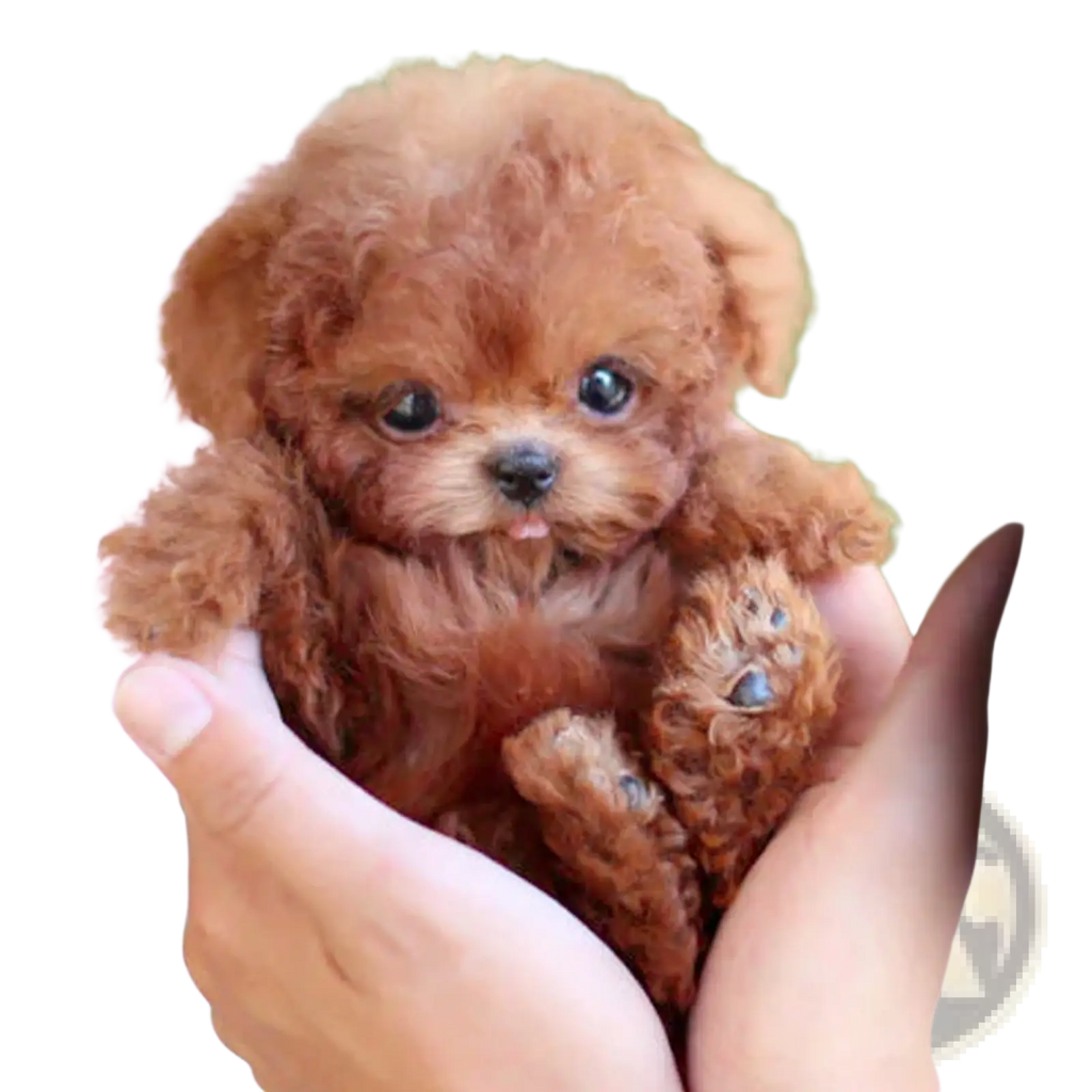 A fluffy light brown interactive plush robot puppy with sound and music featuring dark eyes and a black nose