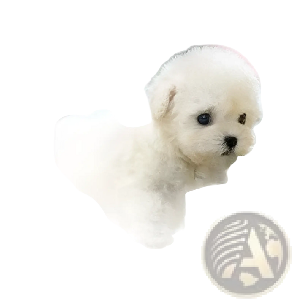 A fluffy white bichon frise interactive plush robot puppy with sound and music featuring dark eyes and a black nose