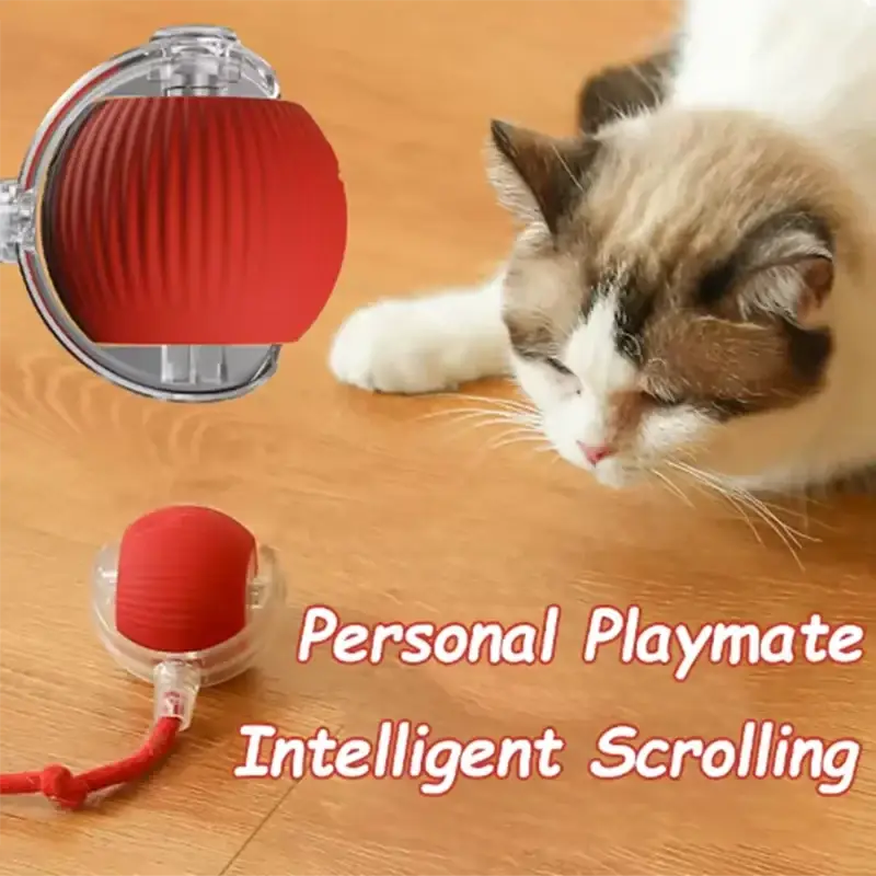 Interactive smart cat ball toy is a red ribbed spherical toy with clear plastic casing and attached red cord