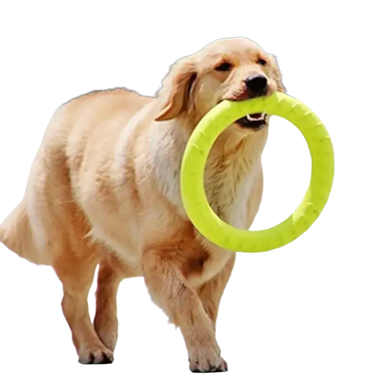 Bright lime green textured rubber interactive training pet ring designed as a chew toy for dogs
