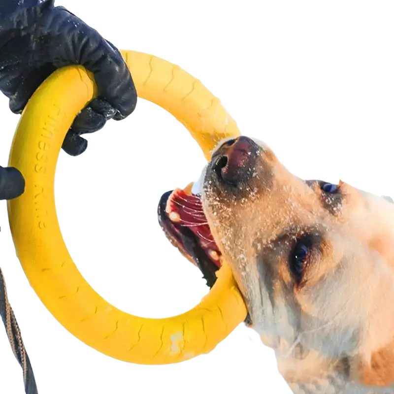 Bright yellow textured rubber pet ring puller designed for interactive training and durable chew play