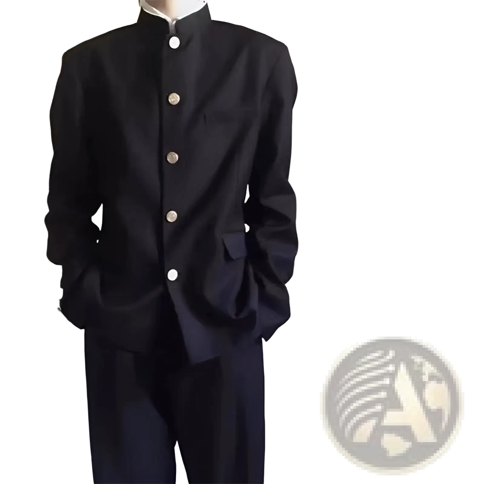 Black men Japanese school uniform suit with mandarin collar button-up jacket and matching black nine-point dress pants